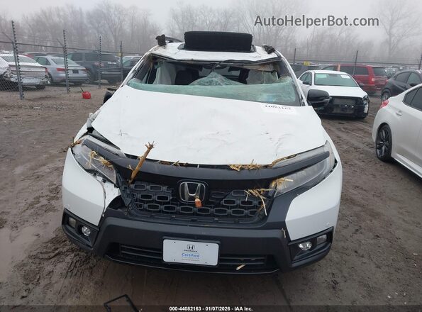 5FNYF8H06LB001048 2020 HONDA PASSPORT Белый Вид щитка приборов