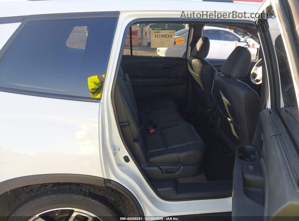 5FNYF8H08PB013532 2023 HONDA PASSPORT White Widok naklejki z numerem VIN