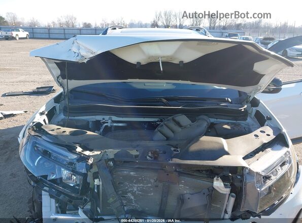5FNYF8H08PB013532 2023 HONDA PASSPORT White Widok z tyłu