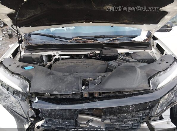 5FNYF8H24MB019776 2021 HONDA PASSPORT White 