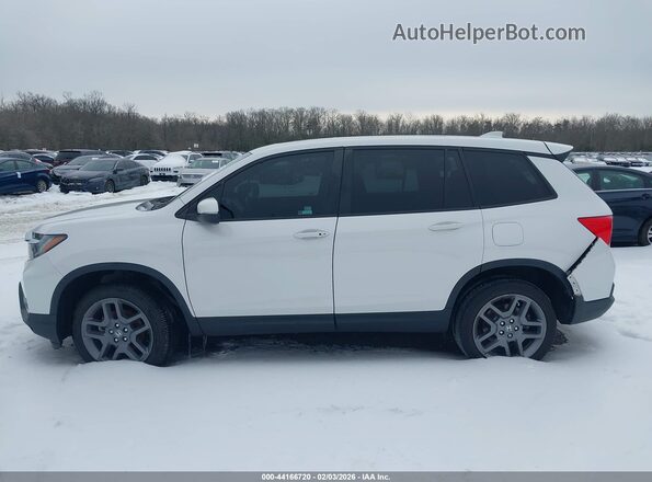 5FNYF8H55PB010258 2023 HONDA PASSPORT White Սալոնի 360 աստիճան տեսք