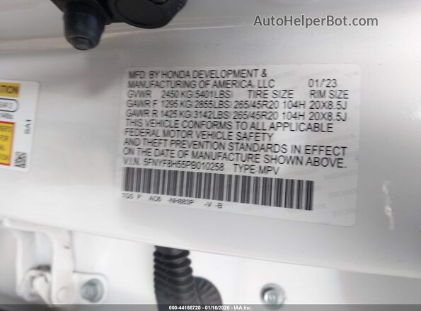5FNYF8H55PB010258 2023 HONDA PASSPORT White Շարժիչի բաժամունքի տեսք