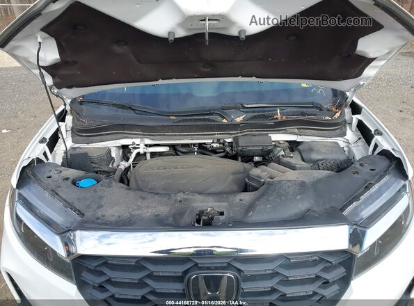 5FNYF8H55PB010258 2023 HONDA PASSPORT White Հետևի տեսք