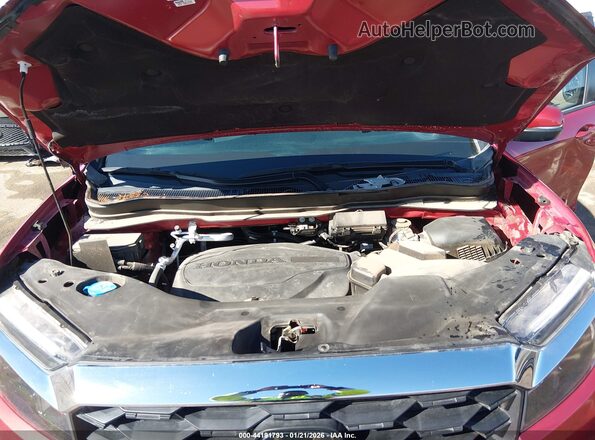 5FNYF8H56PB011905 2023 HONDA PASSPORT Red 