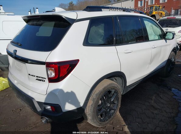 5FNYF8H80RB007409 2024 HONDA PASSPORT White Tył prawy