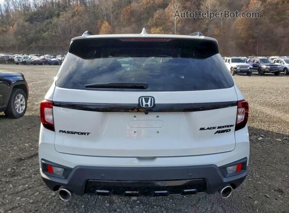 5FNYF8H81RB013770 2024 HONDA PASSPORT White Widok z tyłu