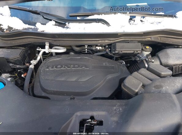 5FNYF8H84SB013901 2025 HONDA PASSPORT Black უკანა ხედი