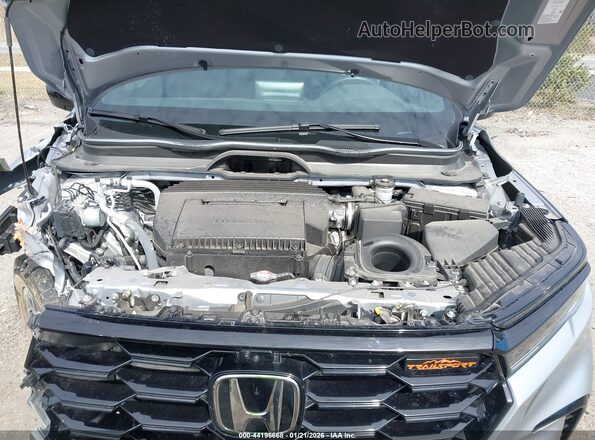 5FNYG1H64SB074233 2025 HONDA PILOT Silver 