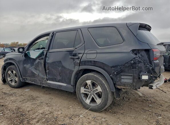 5FNYG2H54RB008045 2024 HONDA PILOT Black Tył lewy