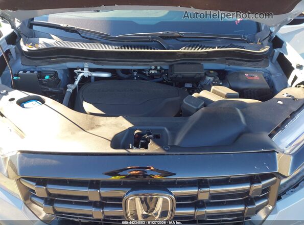 5FPYK3F1XRB009308 2024 HONDA RIDGELINE Gray Widok z tyłu