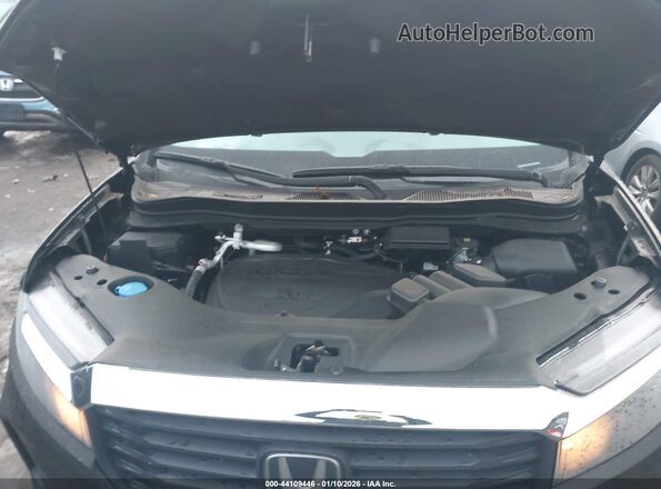 5FPYK3F53PB059905 2023 HONDA RIDGELINE Black Widok z tyłu