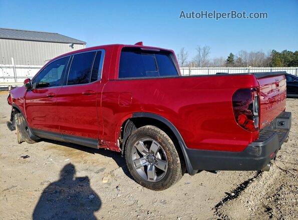 5FPYK3F54RB013633 2024 HONDA RIDGELINE Red Tył lewy