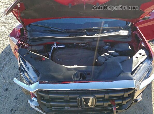 5FPYK3F54RB013633 2024 HONDA RIDGELINE Red Widok wnętrza z tyłu