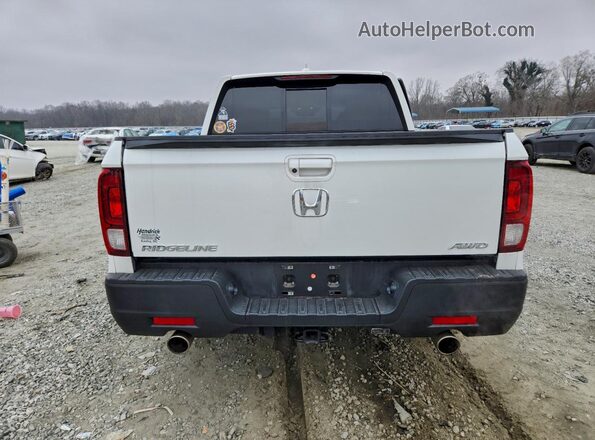 5FPYK3F56MB025503 2021 HONDA RIDGELINE White Rear view