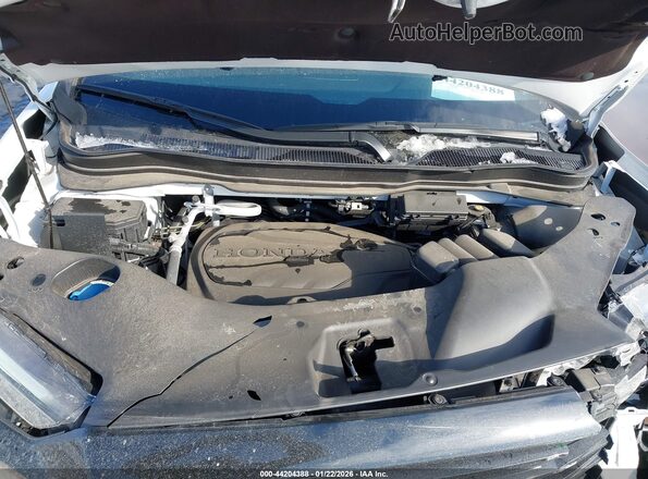 5FPYK3F80PB055207 2023 HONDA RIDGELINE White Rear view