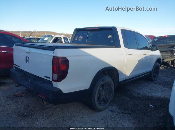 5FPYK3F81MB006724 2021 HONDA RIDGELINE White უკანა მარჯვენა