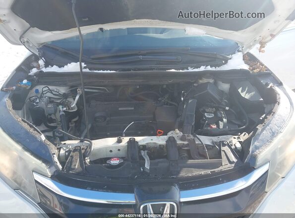 5J6RM4H7XGL016097 2016 HONDA CR-V Белый Вид сзади