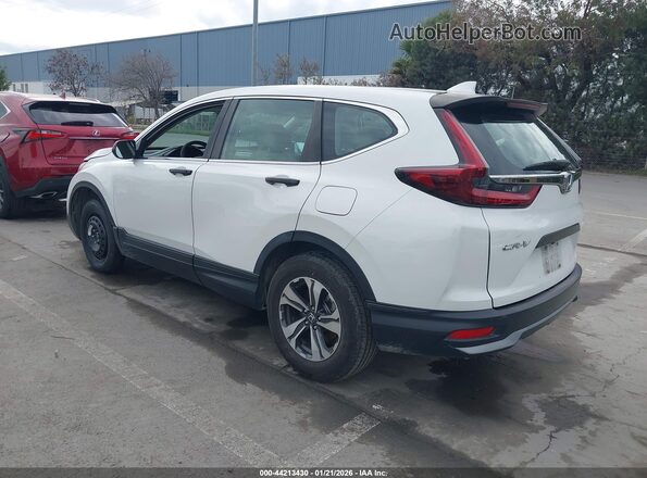 5J6RW2H26LA004019 2020 HONDA CR-V Белый Задняя левая четверть
