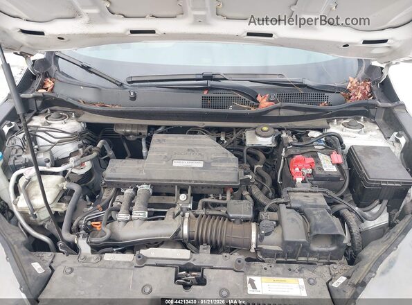 5J6RW2H26LA004019 2020 HONDA CR-V Белый Вид сзади