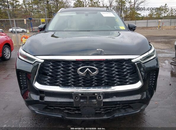 5N1AL1FS8SC336504 2025 INFINITI QX60 Black Rear interior view