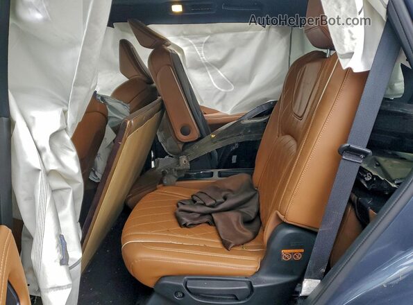 5N1AL1HU3SC345299 2025 INFINITI QX60 Blue Rear interior view