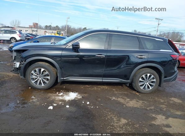 5N1DL1ES7RC342237 2024 INFINITI QX60 Черный Панорамный вид салона 360°