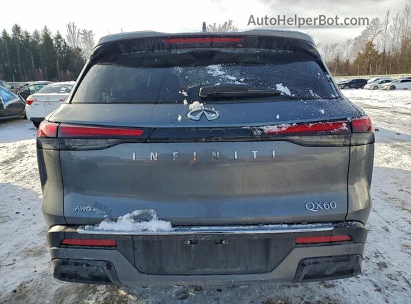 5N1DL1FS2PC373925 2023 INFINITI QX60 Gray Հետևի տեսք
