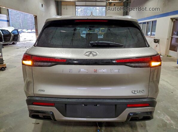 5N1DL1FSXPC331129 2023 INFINITI QX60 Gold Rear view