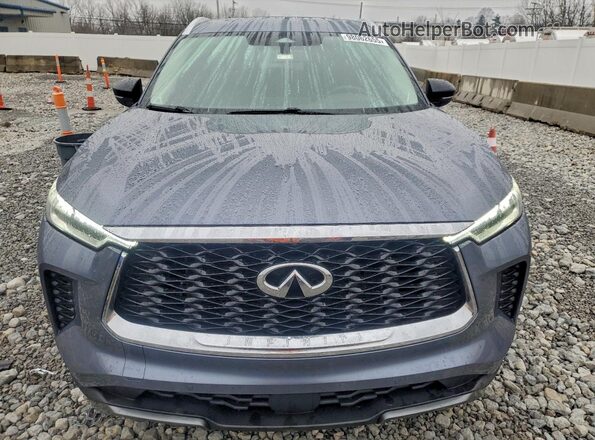5N1DL1GS5PC356597 2023 INFINITI QX60 Blue Front view