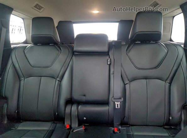 5N1DL1GS5PC356597 2023 INFINITI QX60 Blue Rear seats view