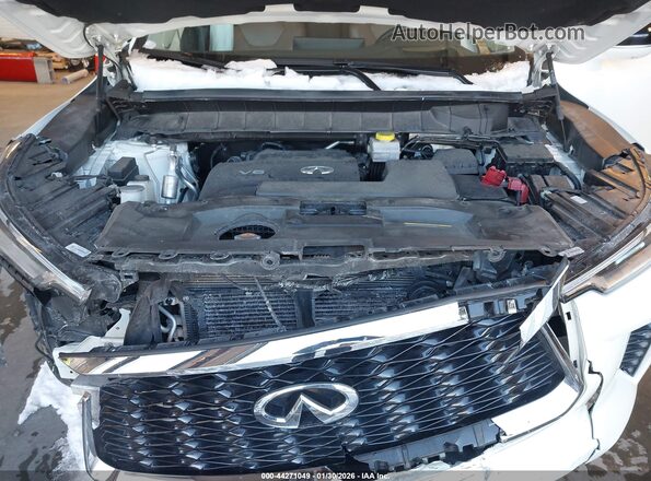 5N1DL1GS6PC368290 2023 INFINITI QX60 White Вид ззаду