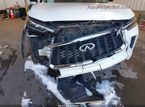 5N1DL1GS6PC368290 2023 INFINITI QX60 White Вид спереду