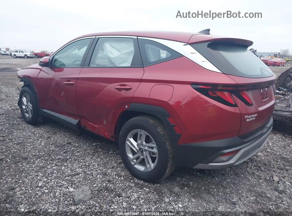 5NMJA3DE8SH600406 2025 HYUNDAI TUCSON Maroon 