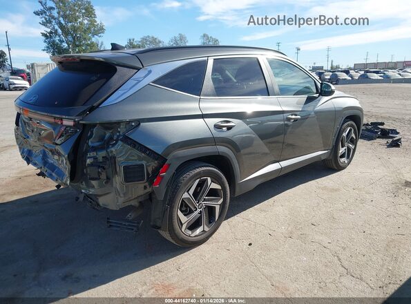 5NMJFCAE8PH197122 2023 HYUNDAI TUCSON Gray Հետևի աջ