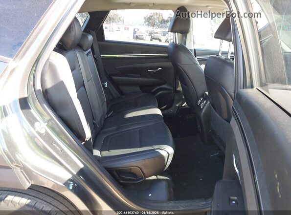 5NMJFCAE8PH197122 2023 HYUNDAI TUCSON Gray VIN կոդի պիտակի տեսք