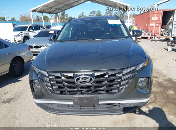 5NMJFCAE8PH197122 2023 HYUNDAI TUCSON Gray Սալոնի հետևի տեսք