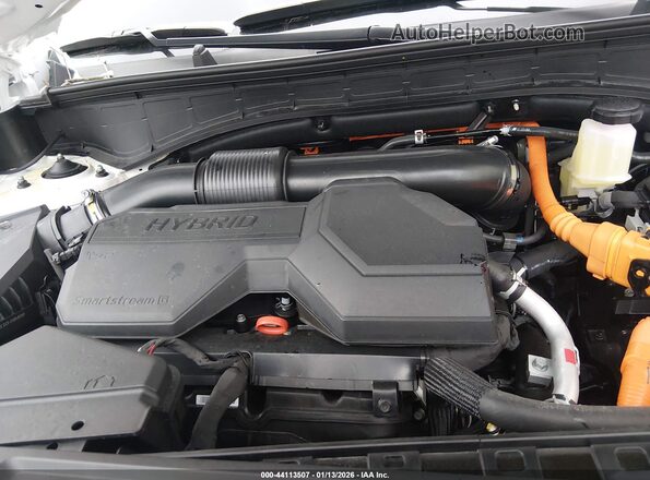 5NMP1DG12TH072209 2026 HYUNDAI SANTA FE HYBRID White Вид ззаду