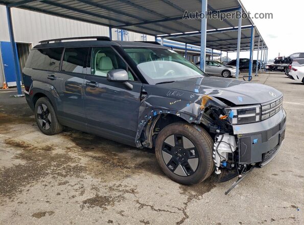 5NMP2DG15SH050202 2025 HYUNDAI SANTA Gray წინა მარჯვენა
