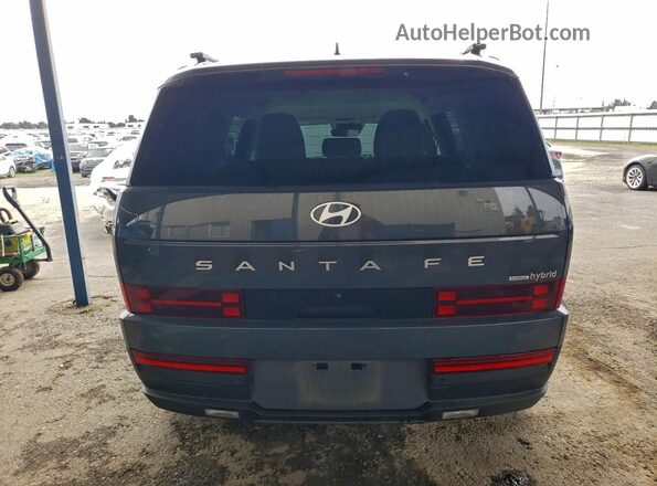 5NMP2DG15SH050202 2025 HYUNDAI SANTA Gray უკანა ხედი