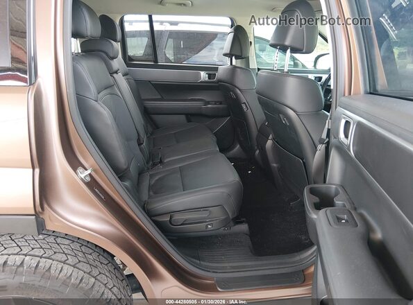 5NMP3DGL6RH024684 2024 HYUNDAI SANTA FE Brown 
