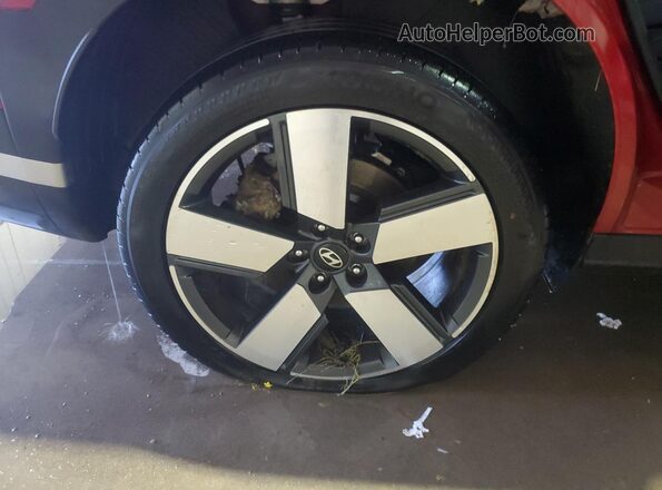 5NMP4DGL6SH140843 2025 HYUNDAI SANTA Красный 