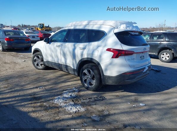 5NMS2DAJ3PH651411 2023 HYUNDAI SANTA FE White Trasero izquierdo
