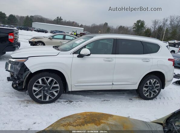 5NMS5DAL9PH549426 2023 HYUNDAI SANTA FE CALLIGRAPHY White 