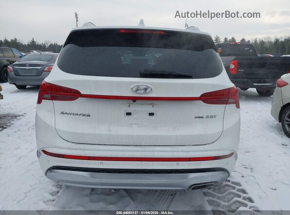 5NMS5DAL9PH549426 2023 HYUNDAI SANTA FE CALLIGRAPHY White 