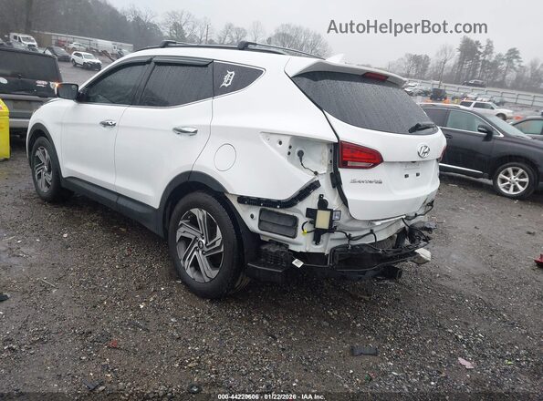 5NMZUDLB7HH035646 2017 HYUNDAI SANTA FE SPORT White Задня ліва чверть