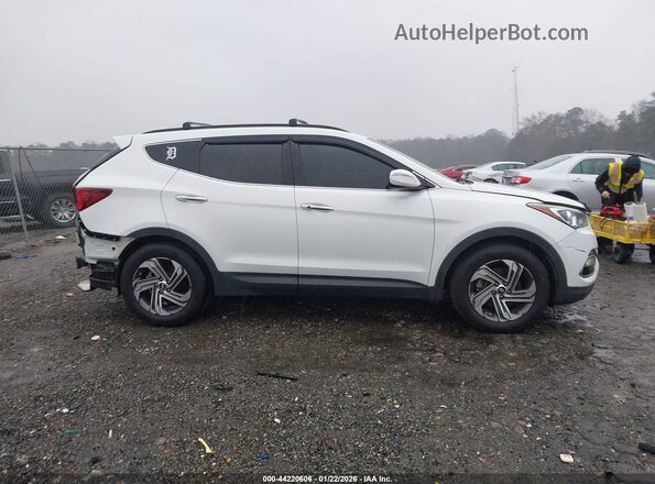 5NMZUDLB7HH035646 2017 HYUNDAI SANTA FE SPORT White Вид задньої частини салону