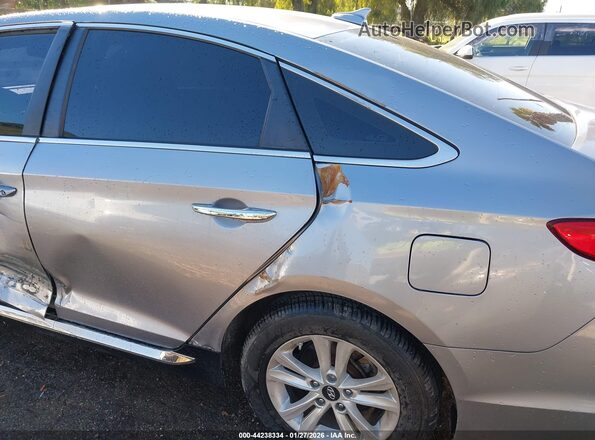 5NPE24AF4GH370844 2016 HYUNDAI SONATA Silver Սալոնի հետևի տեսք