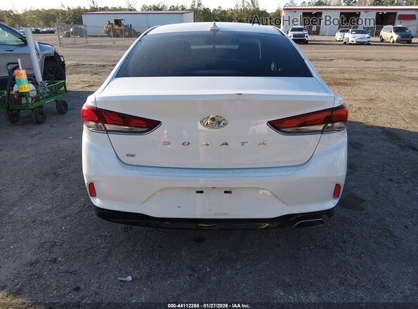 5NPE24AF4KH778396 2019 HYUNDAI SONATA White 