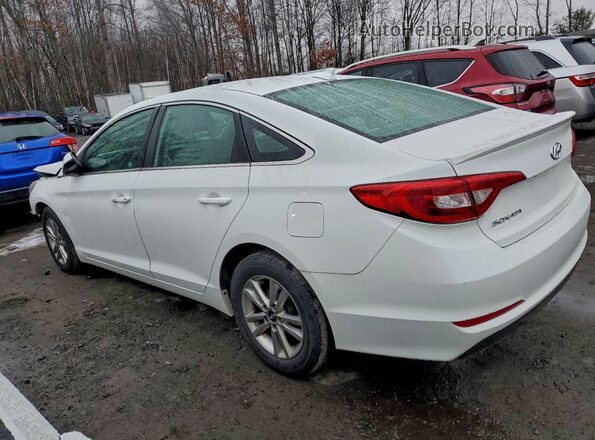 5NPE24AF6GH373924 2016 HYUNDAI SONATA White Trasero izquierdo