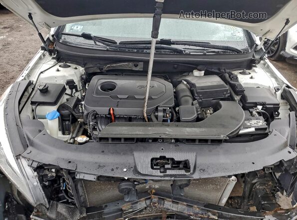 5NPE24AF6GH373924 2016 HYUNDAI SONATA White Vista interior trasera